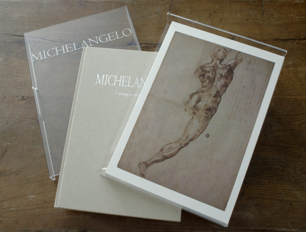 Michelangelo. I disegni più belli