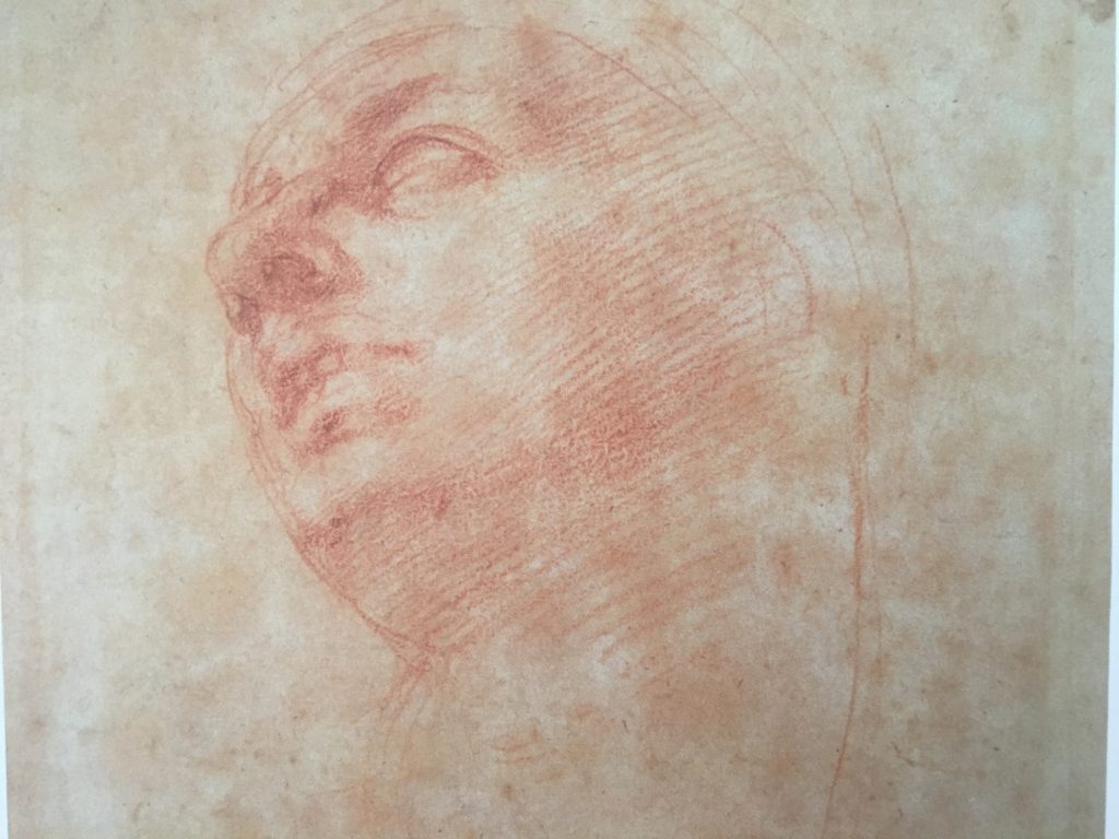 Studio di testa per la Madonna del Tondo Doni-Michelangelo-Casa Buonarroti