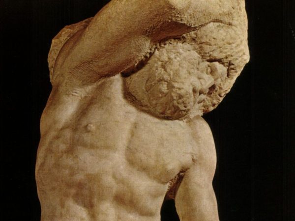 Schiavo Barbuto - Particolare- Michelangelo